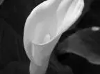 1ae1e538e661aca4ae6ed2a7d8e35f32
